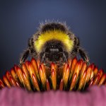 違法な残業にならないために「36協定だけ結べばOK」と思っていませんか?