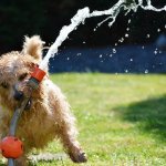 【セクショナリズムとは】競争意識が阻害を起こす。円滑な業務が行えない組織状態